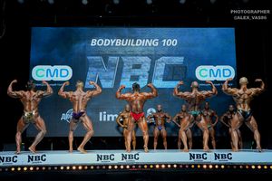 BODYBUILDING 100
